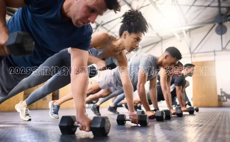 qy球友会app官网